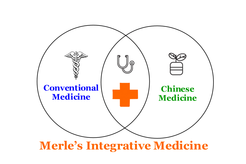 a diagram that shows merle's approach to integrative medicine